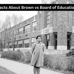 Brown education board summary case