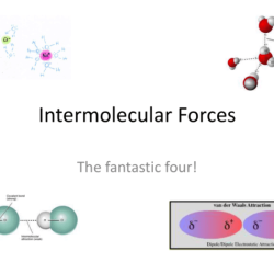 Polarity and intermolecular forces gizmo answer key