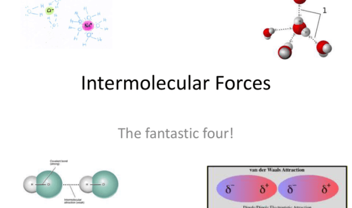 Polarity and intermolecular forces gizmo answer key