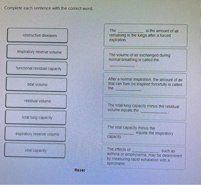 Completar complete each sentence with the correct word