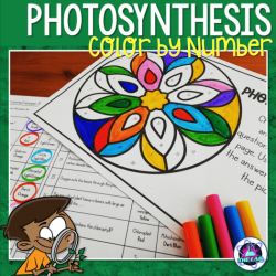 Color by number photosynthesis worksheet answer key pdf