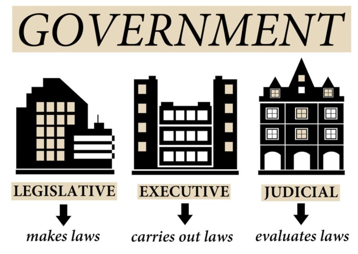 Three branches of government crossword puzzle answer key