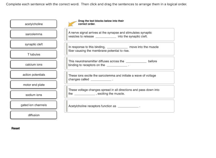 Completar complete each sentence with the correct word